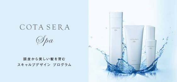 商品セールアプローチ_171027_0003