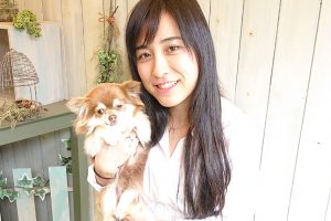 ビューティープレイスイルトドッグデザイナー