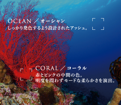 オーシャン　コーラル